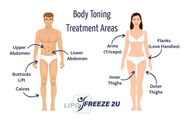 Graphic showing where you can have Body toning Treatment Wallingford on your body